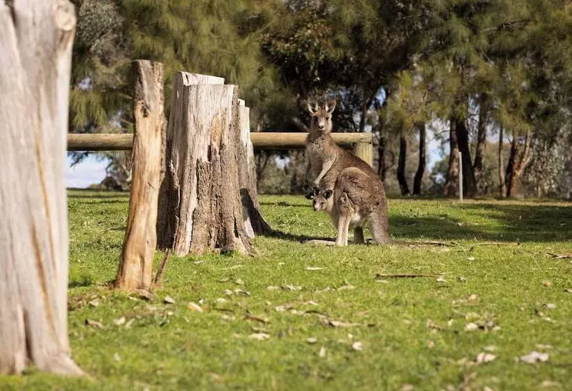 Hotelli Reflections Grabine Lakeside   Holiday Park