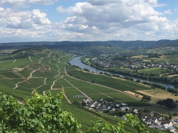 酒店 Restaurant Zum Felsenkeller