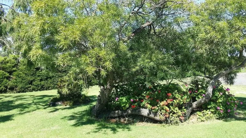 Motelli The Terang Motor Inn