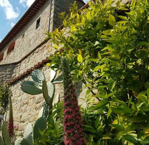 ペンション Affittacamere Adri