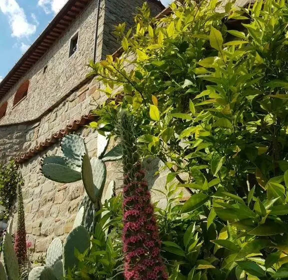 Majatalo Affittacamere Adri