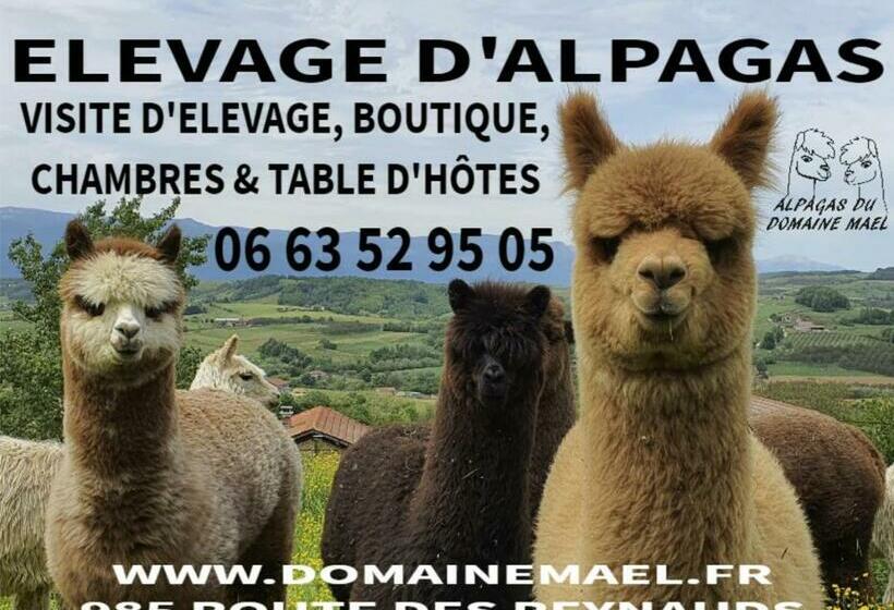 بنسيون Alpagas Du Domaine Mael