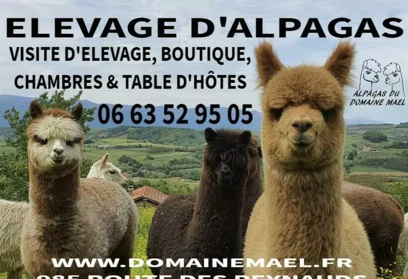 ペンション Alpagas Du Domaine Mael