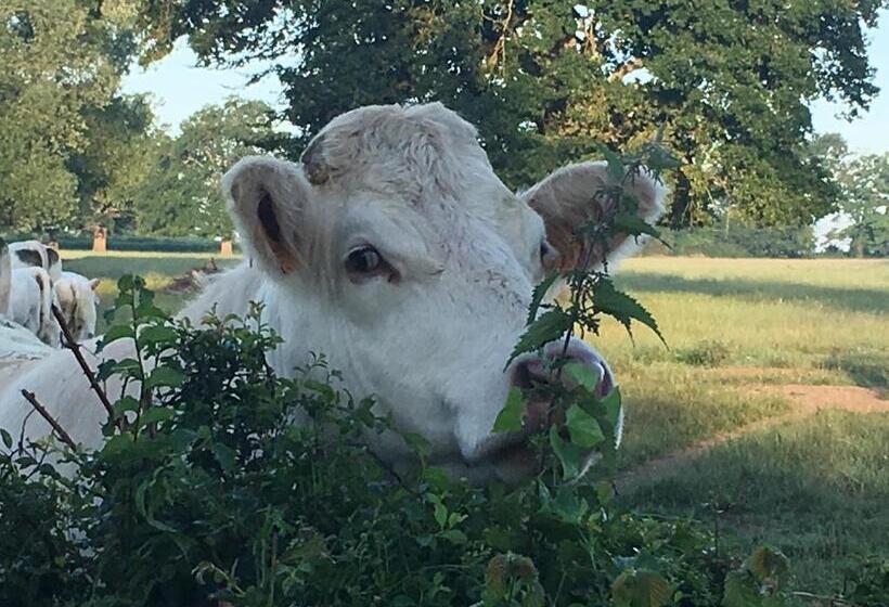 펜션 La Thibaude Livry