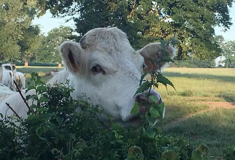 ペンション La Thibaude   Livry