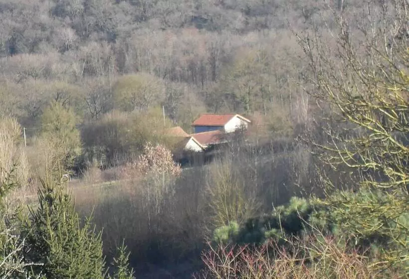 ペンション Maison D Hôtes L Apauje
