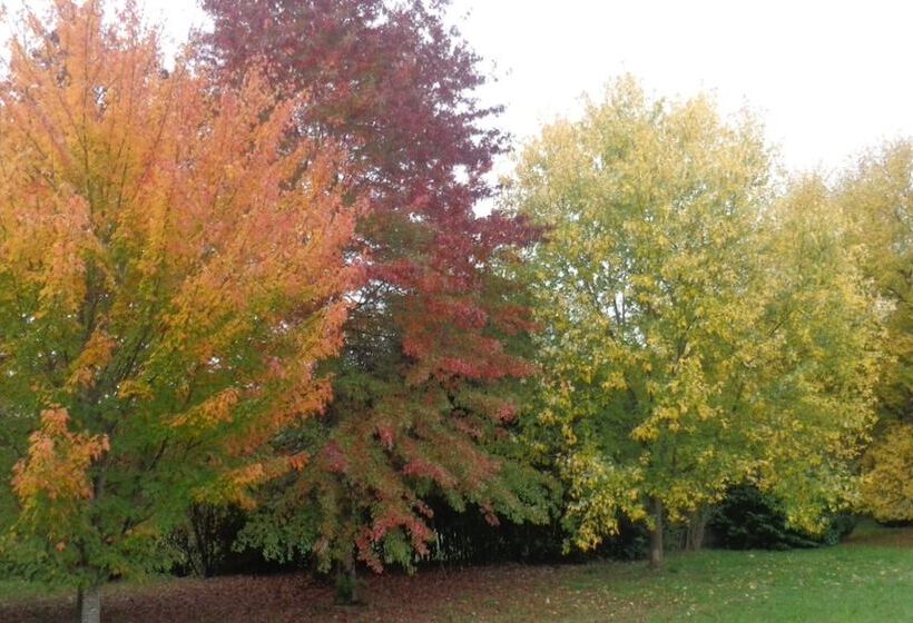 פנסיון Maison D Hôtes L Apauje