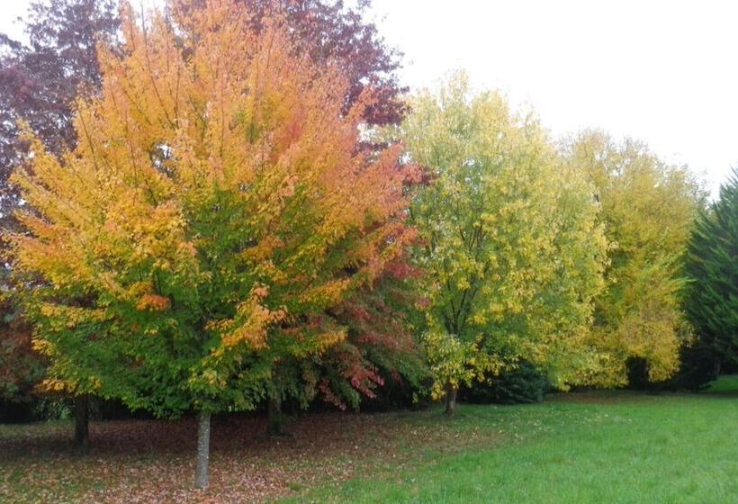 פנסיון Maison D Hôtes L Apauje