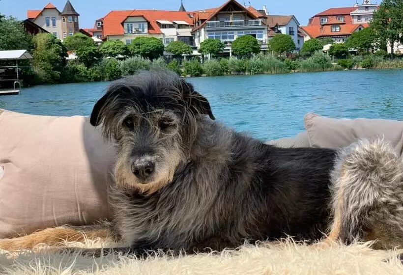 Seehotel Niedernberg   Das Dorf Am See