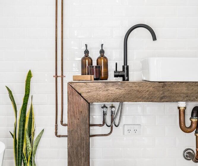 Bed and Breakfast Blackbird