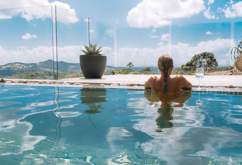 Bed and Breakfast Blackbird