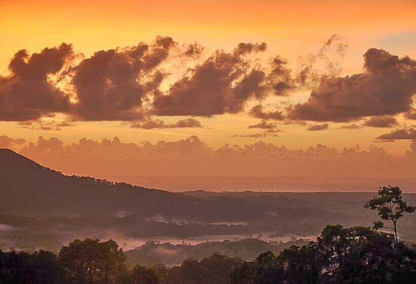 Bed and Breakfast Blackbird