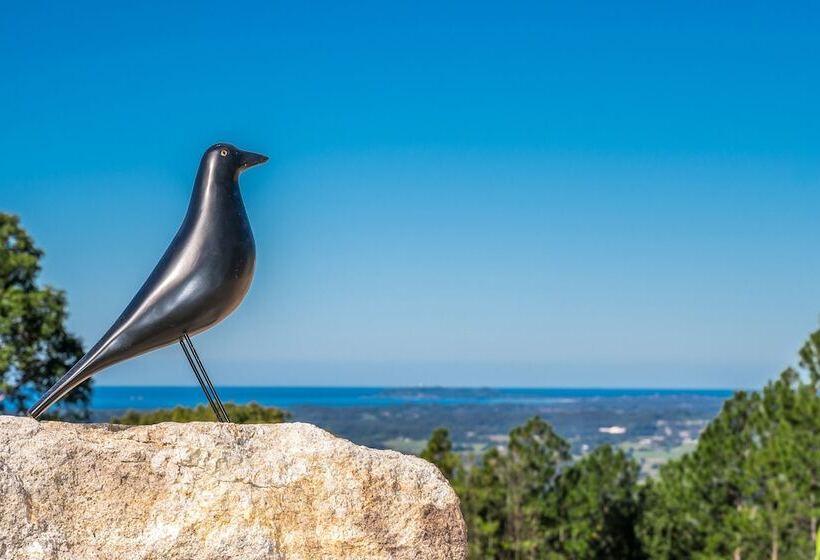 Bed and Breakfast Blackbird