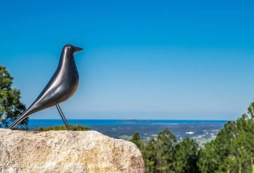 Aamiaismajoitus (B&B) Blackbird