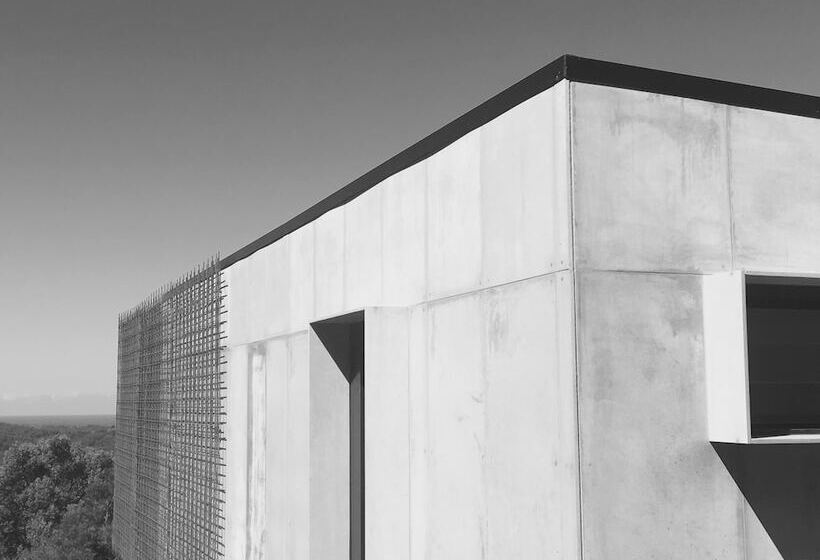 Bed and Breakfast Blackbird