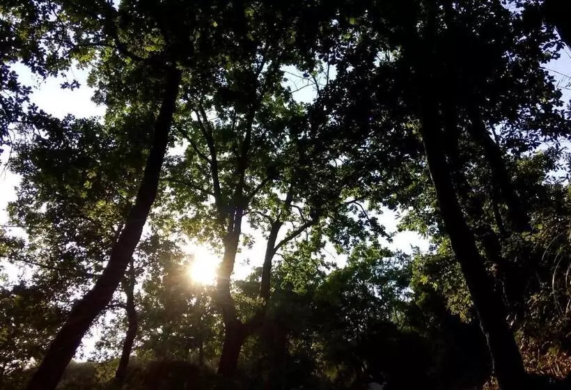 Aamiaismajoitus (B&B) Casale I Cirillo