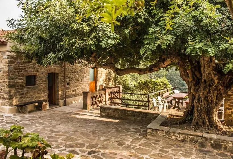 Aamiaismajoitus (B&B) Casale I Cirillo