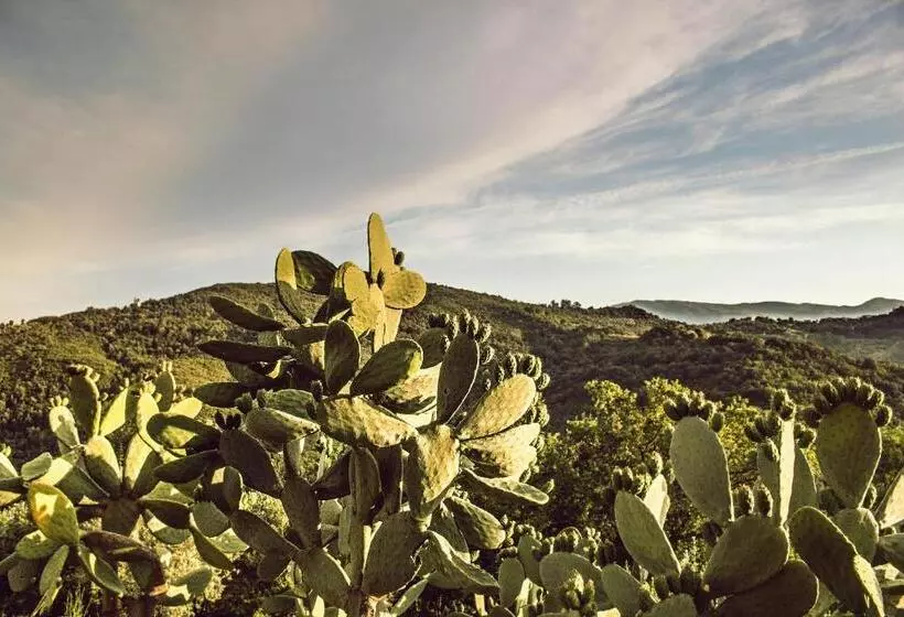 Aamiaismajoitus (B&B) Casale I Cirillo