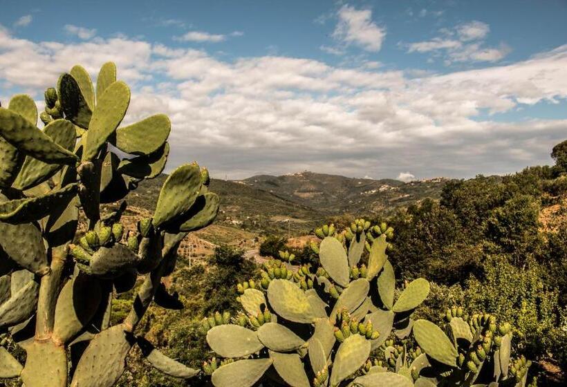 住宿加早餐 Casale I Cirillo