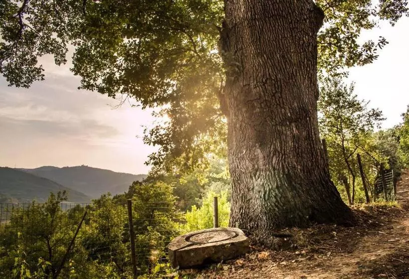 Aamiaismajoitus (B&B) Casale I Cirillo