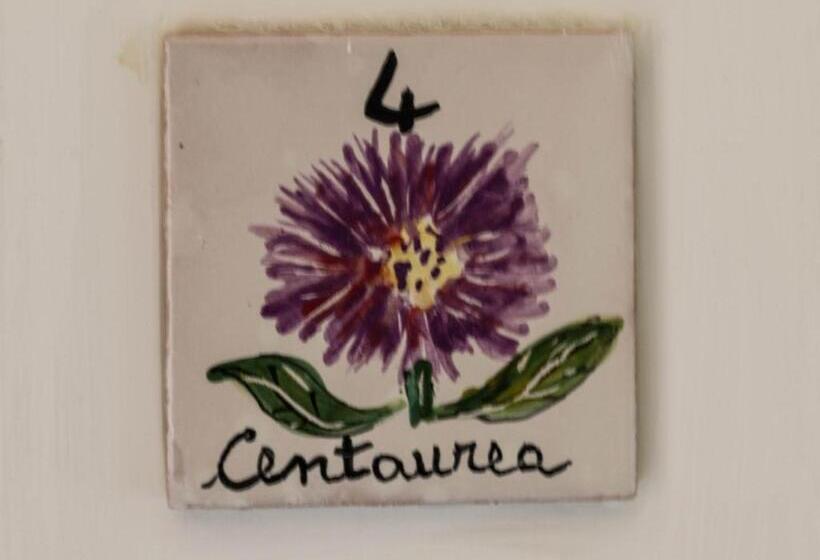 住宿加早餐 Casale I Cirillo