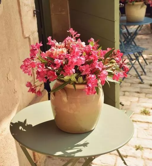 Aamiaismajoitus (B&B) Embarben Maison D Hotes