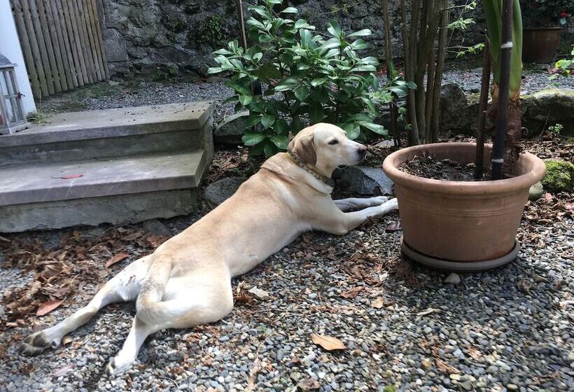 צימר Résidence Crone