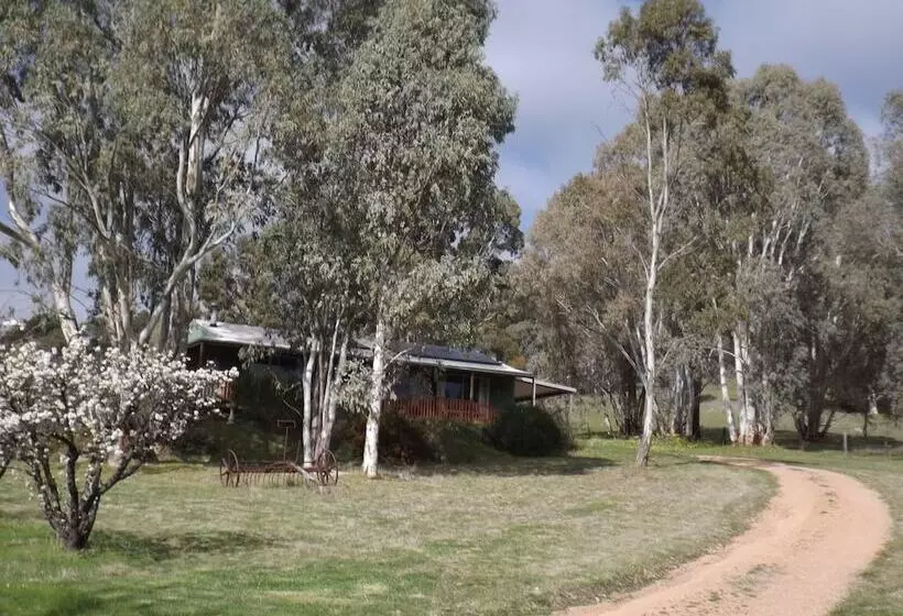 Aamiaismajoitus (B&B) Taralee Orchards