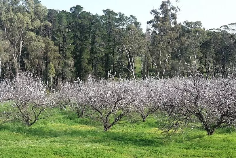 Aamiaismajoitus (B&B) Taralee Orchards