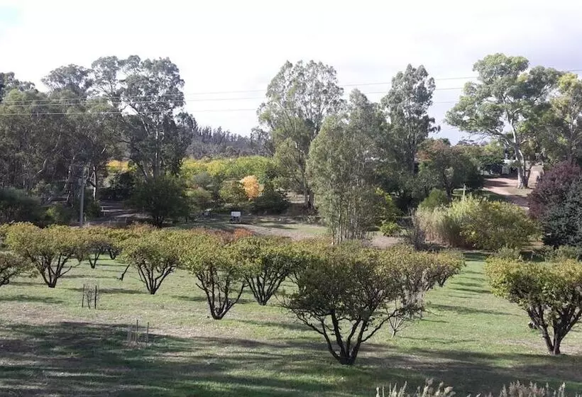 Aamiaismajoitus (B&B) Taralee Orchards