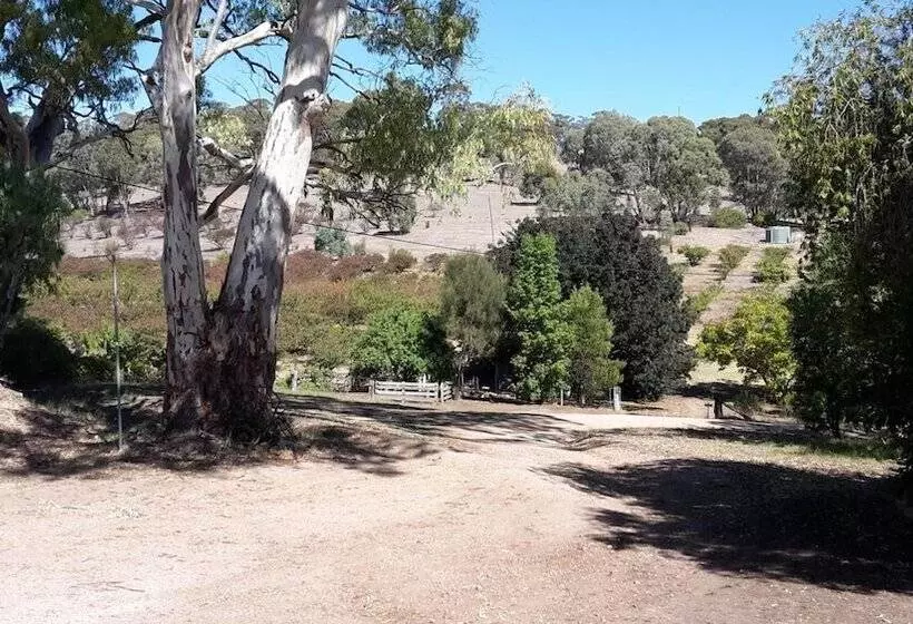 Aamiaismajoitus (B&B) Taralee Orchards