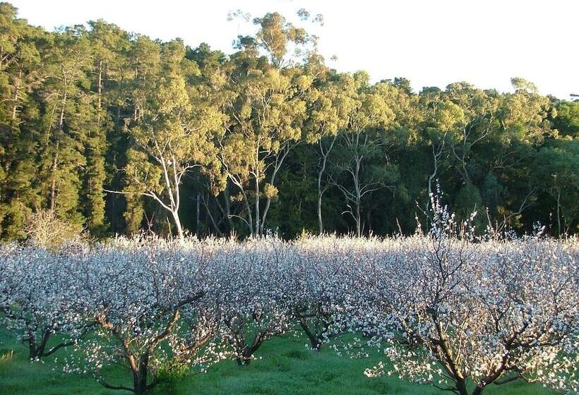 Bed and Breakfast Taralee Orchards