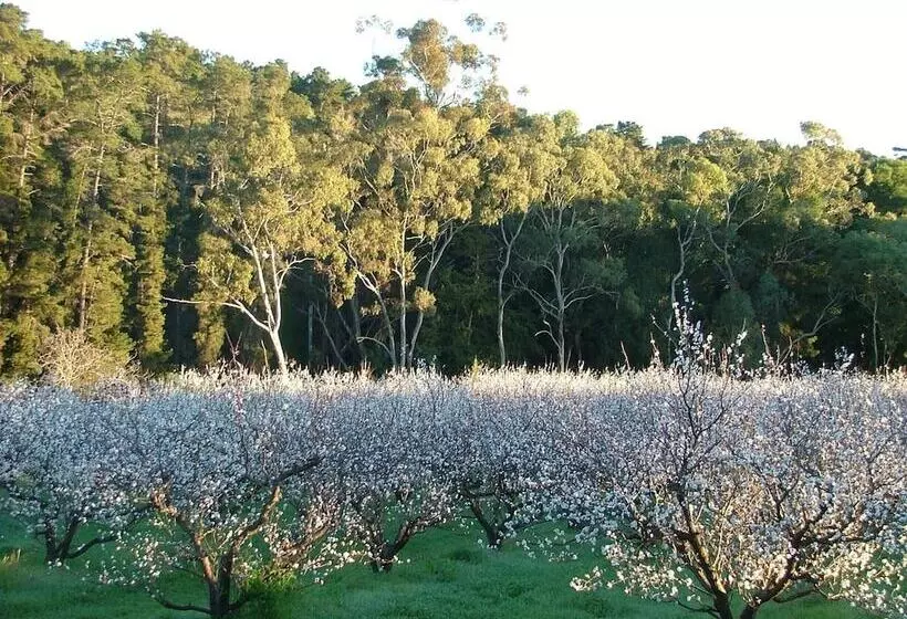 Aamiaismajoitus (B&B) Taralee Orchards