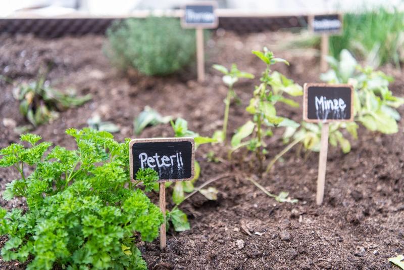 La Tgoma   Hotel & Restaurant