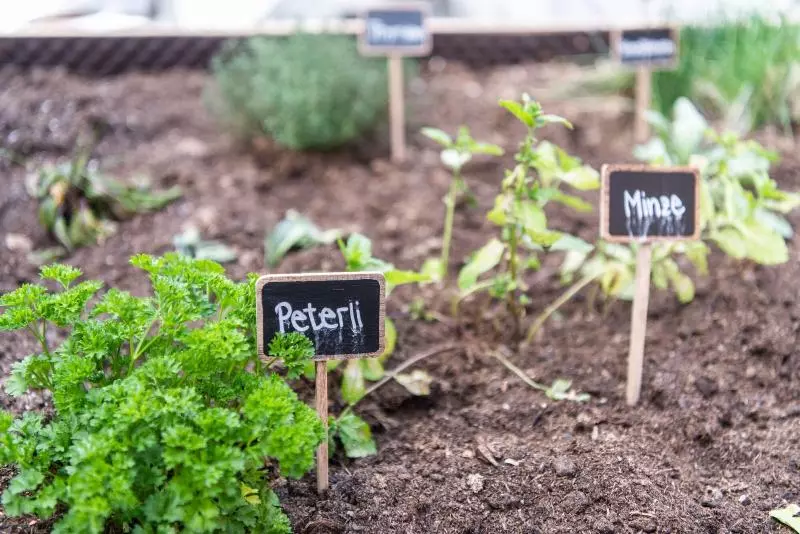 La Tgoma   Hotel & Restaurant