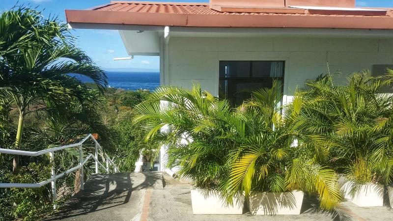 ホテル Pura Vista