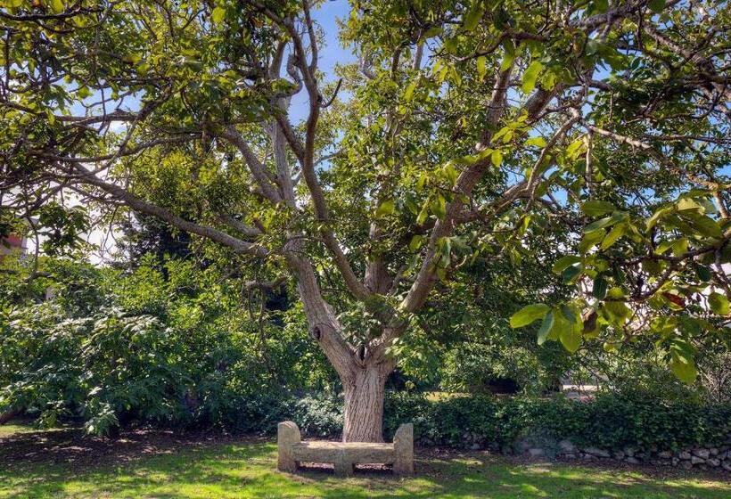 فندق ريفى Casale Del Forno