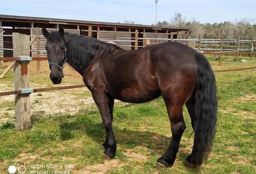 فندق ريفى Casale Del Forno