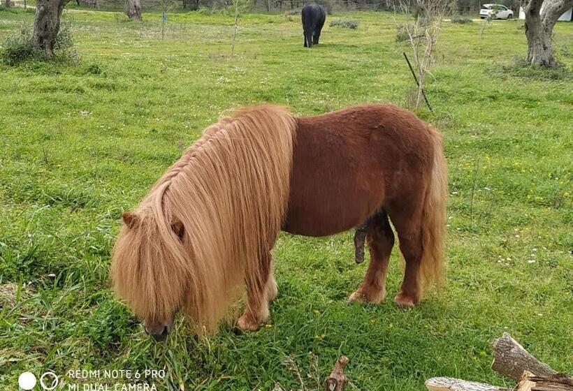 فندق ريفى Casale Del Forno