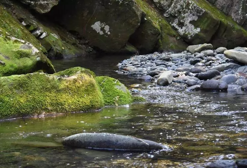 Hotelli Salisbury Lodges