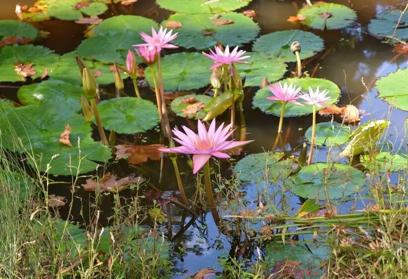 Hotelli Salisbury Lodges