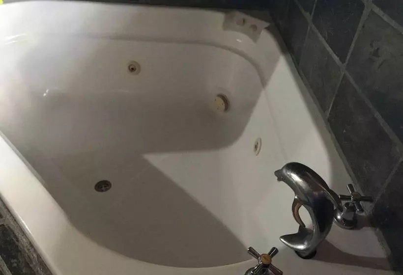 Hotelli Salisbury Lodges