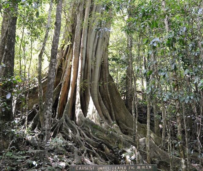 Отель Salisbury Lodges