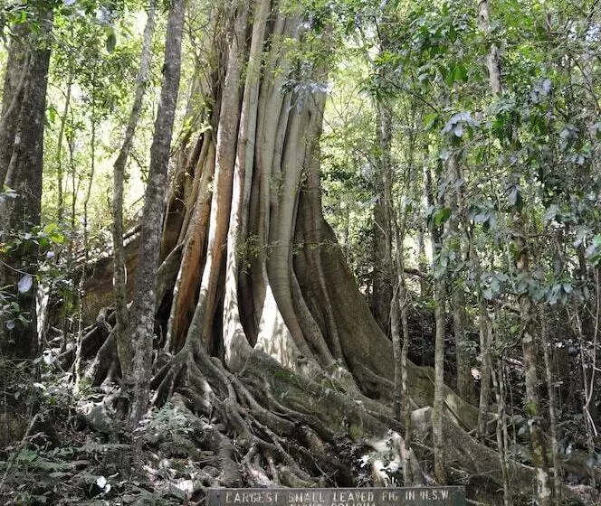 Hotelli Salisbury Lodges