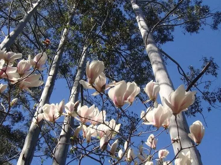 Hotelli Salisbury Lodges