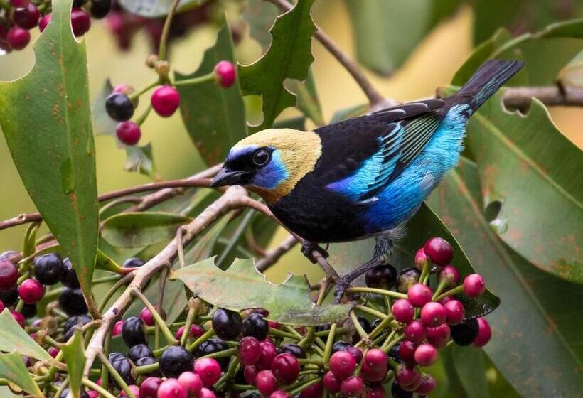 فندق San Rafael Ecolodge