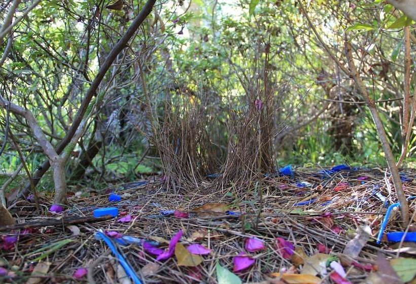 Kiwarrak Country Retreat