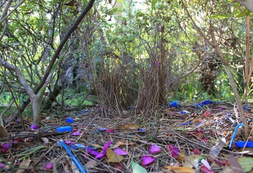 Kiwarrak Country Retreat