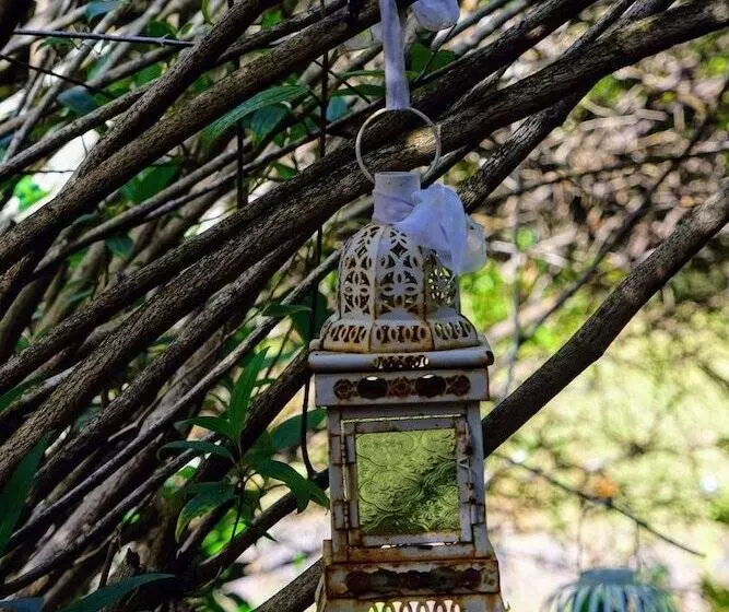 Kiwarrak Country Retreat