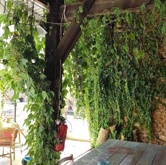 ペンション Domaine De Potofayol